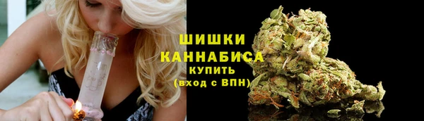 PSILOCYBIN Белокуриха