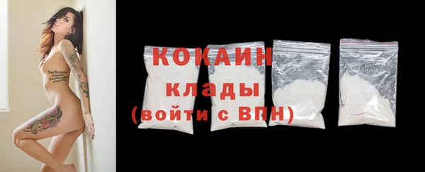 PSILOCYBIN Белокуриха