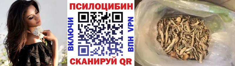 Псилоцибиновые грибы мухоморы  купить  сайты  Гусев 