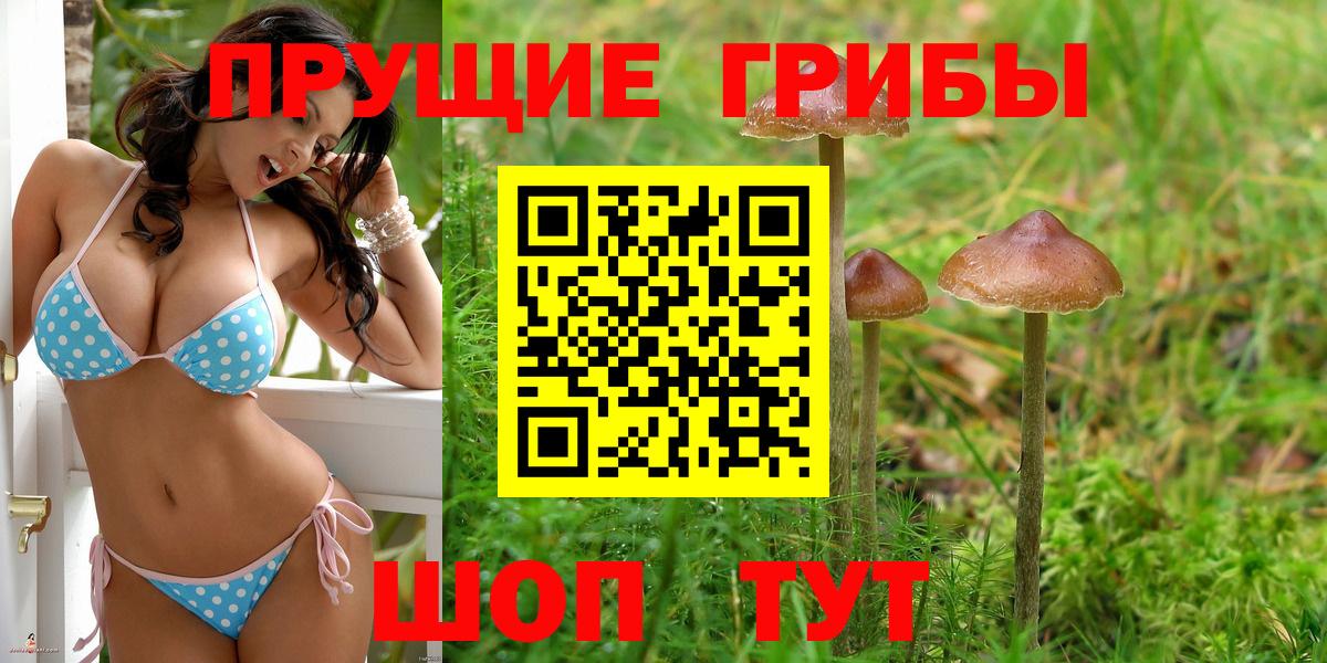 Галлюциногенные грибы GOLDEN TEACHER  Галлюциногенные грибы Magic Shrooms  Вход с VPN  Гусев 