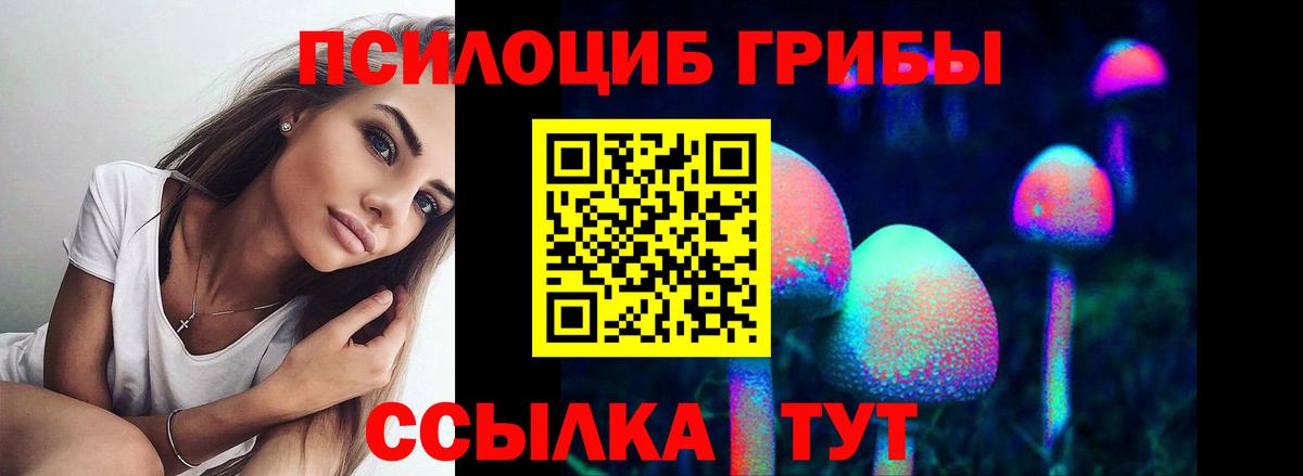 Псилоцибиновые грибы GOLDEN TEACHER  Гусев 