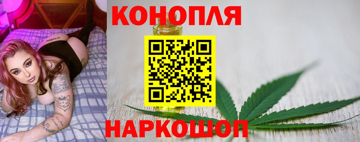 Бошки Шишки OG Kush  Конопля OG Kush  Канабис LSD WEED  Бошки Шишки семена  Гусев  Вход с VPN 